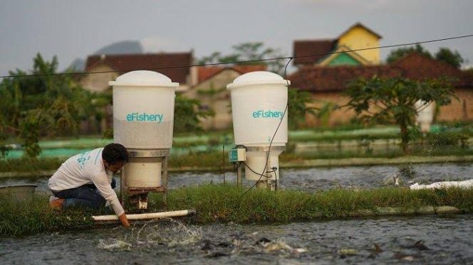 
 eFishery Tunjuk Pemimpin Anyar, Bawa Transformasi Besar ke Sektor Akuakultur