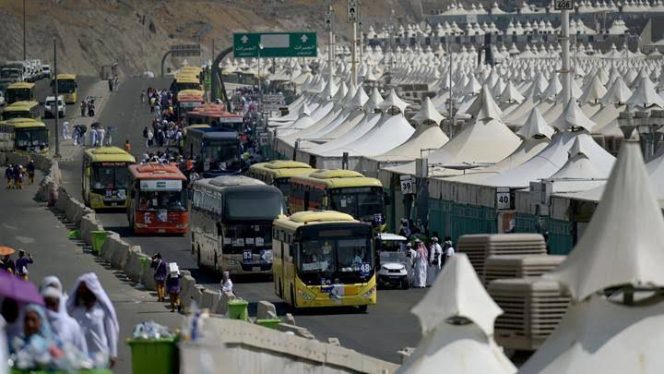 
 Kemenag Siapkan Kendaraan Baru untuk Layanan Jemaah Haji 2025