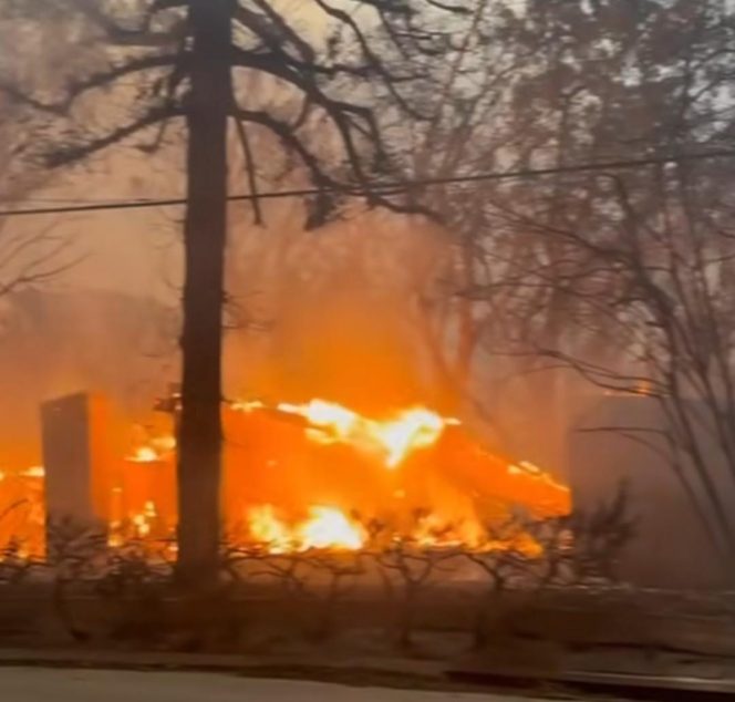 
 Kebakaran Hutan Los Angeles Picu Masalah Kesehatan dan Kualitas Udara Buruk