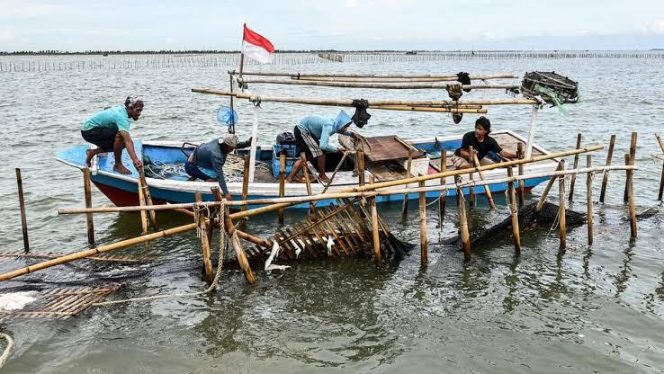 
 Fakta Pagar Laut Akan Dibongkar Secara Bertahap